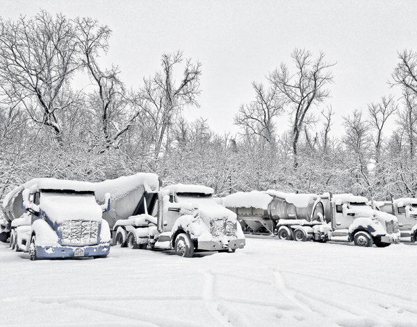 Snow Covered Trucks